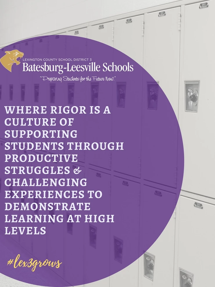 Batesburg Leesville Schools Poster