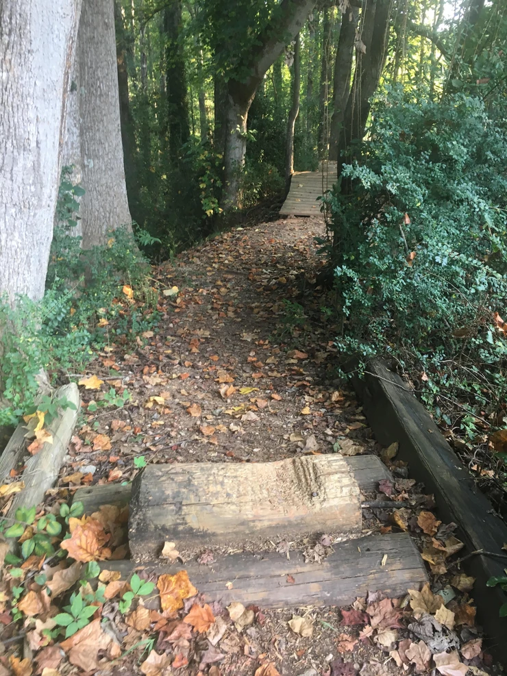 Bike Path Obstacle