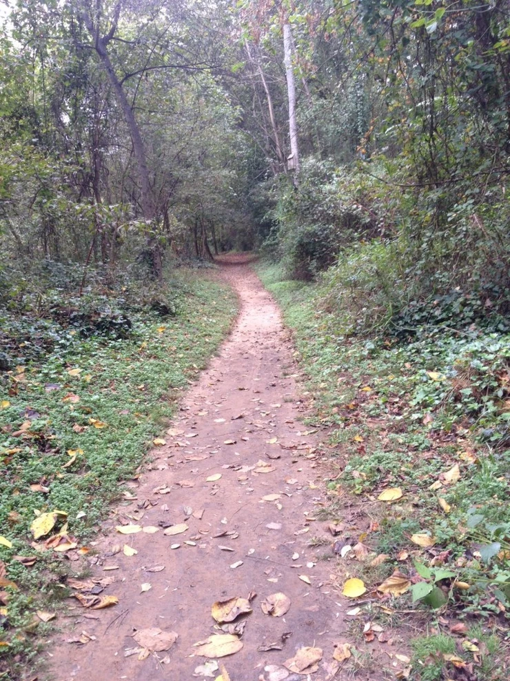 Cottonwood Trail