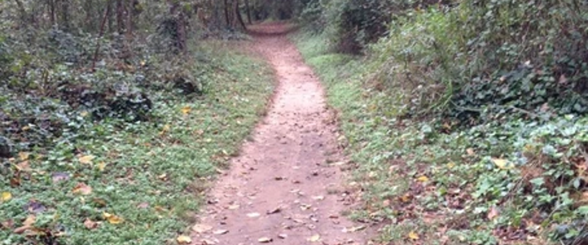 What Can Mountain Biking Teach Us About Change?